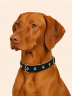 URBAN no.05 - Hundehalsband mit hellblauen Kristallen