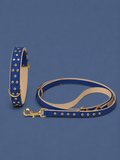 Set URBAN no.03 (Halsband & Leine)