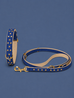Set URBAN no.03 (Halsband & Leine)