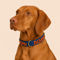PURE no.04 - Hundehalsband mit Mosaik