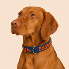 PURE no.04 - Hundehalsband mit Mosaik