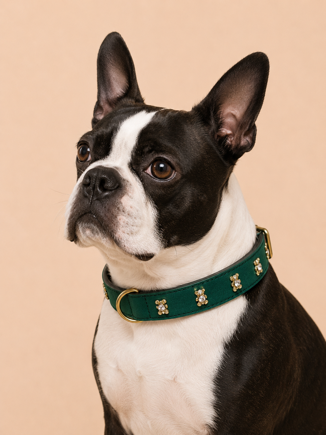 Set SIGNATURE no.05 (Halsband & Leine)