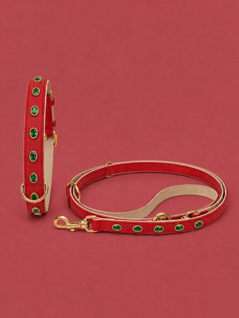 Set URBAN no.02 (Halsband & Leine)