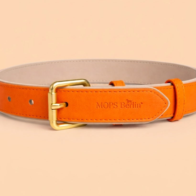 Detailaufnahme des Hundehalsbands Honigglanz: Gezeigt wird die matte, goldfarbene Schnalle und die Prägung MOPS Berlin auf dem orangefarbenen veganen Leder in Wildlederhaptik vor einem hellen Pastellorange-Hintergrund.