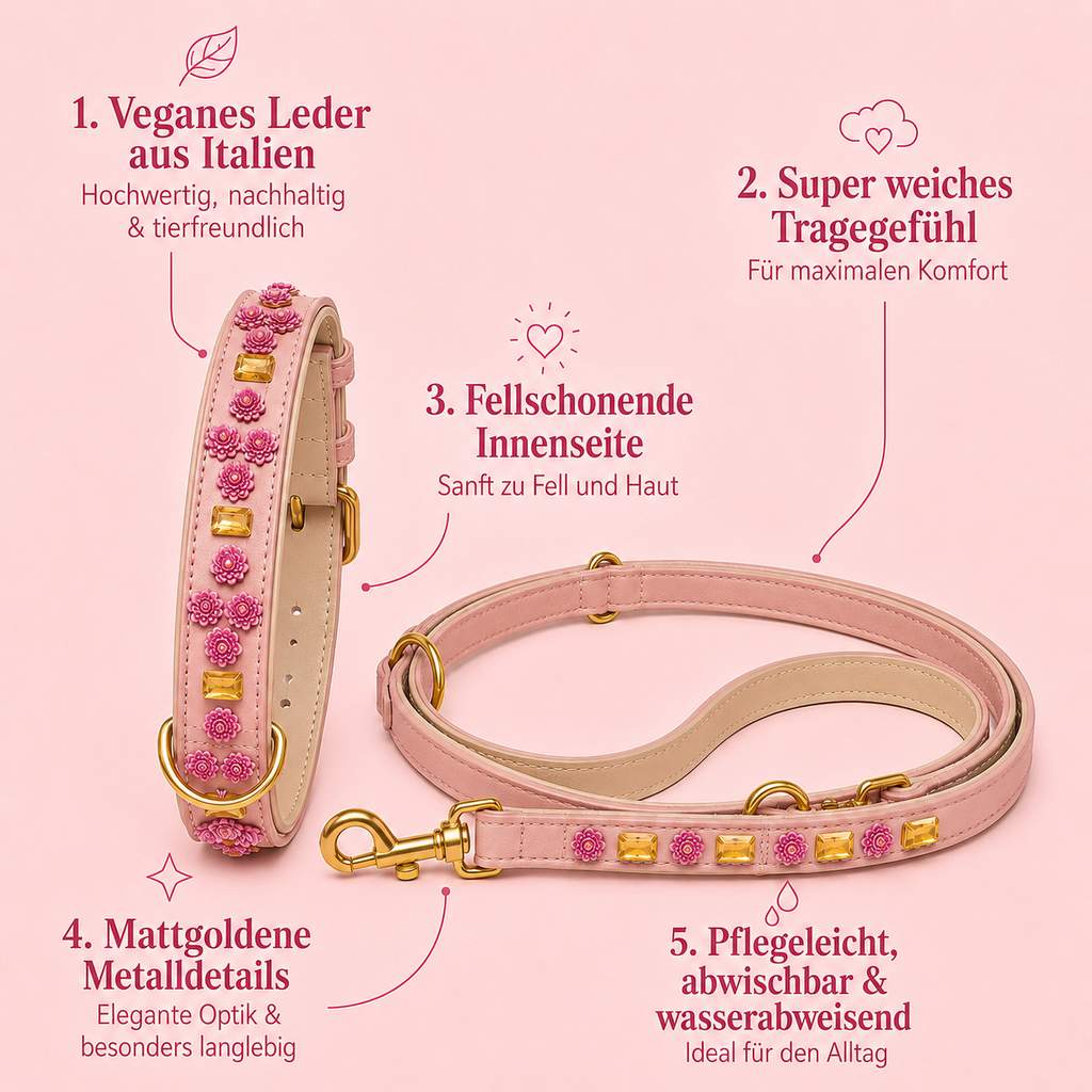 Infografik mit Produktvorteilen des Halsband und Leine Sets Nelken Traum von Mops Berlin: Veganes Leder aus Italien, super weiches Tragegefühl, fellschonende Innenseite, mattgoldene Metalldetails sowie pflegeleicht, abwischbar und wasserabweisend.