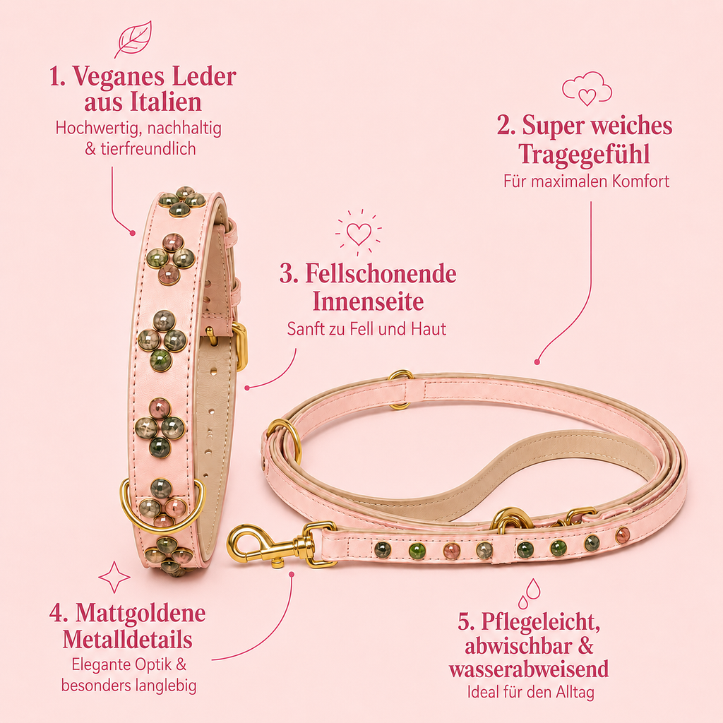 Infografik mit Produktvorteilen des Halsband und Leine Sets Waldrose von Mops Berlin: Veganes Leder aus Italien, super weiches Tragegefühl, fellschonende Innenseite, mattgoldene Metalldetails sowie pflegeleicht, abwischbar und wasserabweisend vor rosafarbenem Hintergrund.