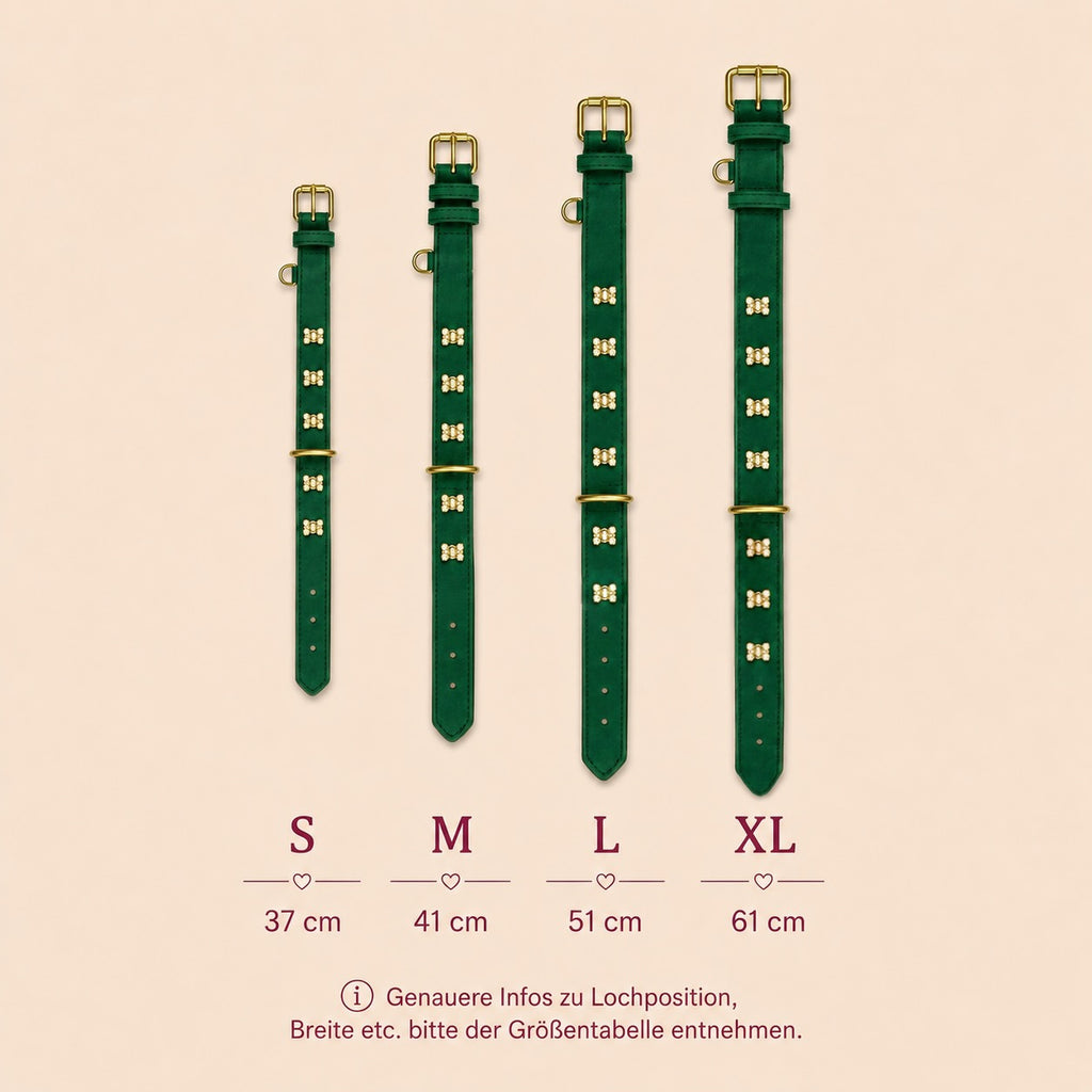 Größenübersicht des dunkelgrünen Hundehalsbands Goldbär von Mops Berlin im Vergleich der Größen S (37 cm), M (41 cm), L (51 cm) und XL (61 cm) mit goldenen Bären-Charms vor beigefarbenem Hintergrund.