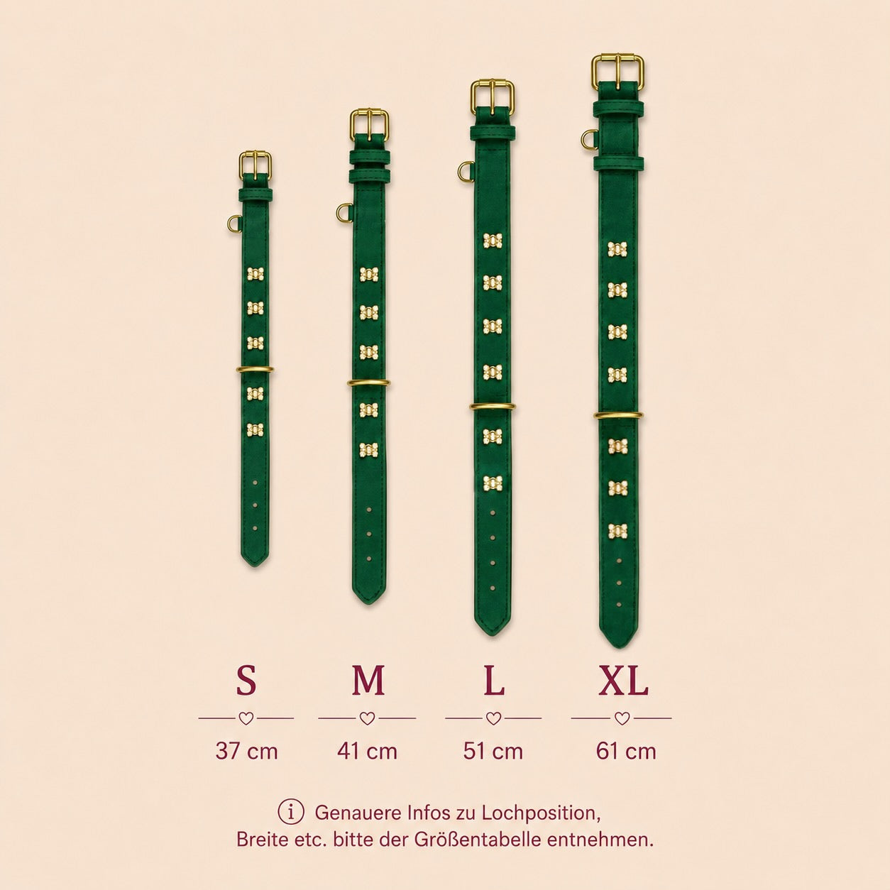 Größenübersicht des dunkelgrünen Hundehalsbands Goldbär von Mops Berlin im Vergleich der Größen S (37 cm), M (41 cm), L (51 cm) und XL (61 cm) mit goldenen Bären-Charms vor beigefarbenem Hintergrund.