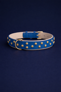 URBAN no.03 - Hundehalsband mit Goldakzenten