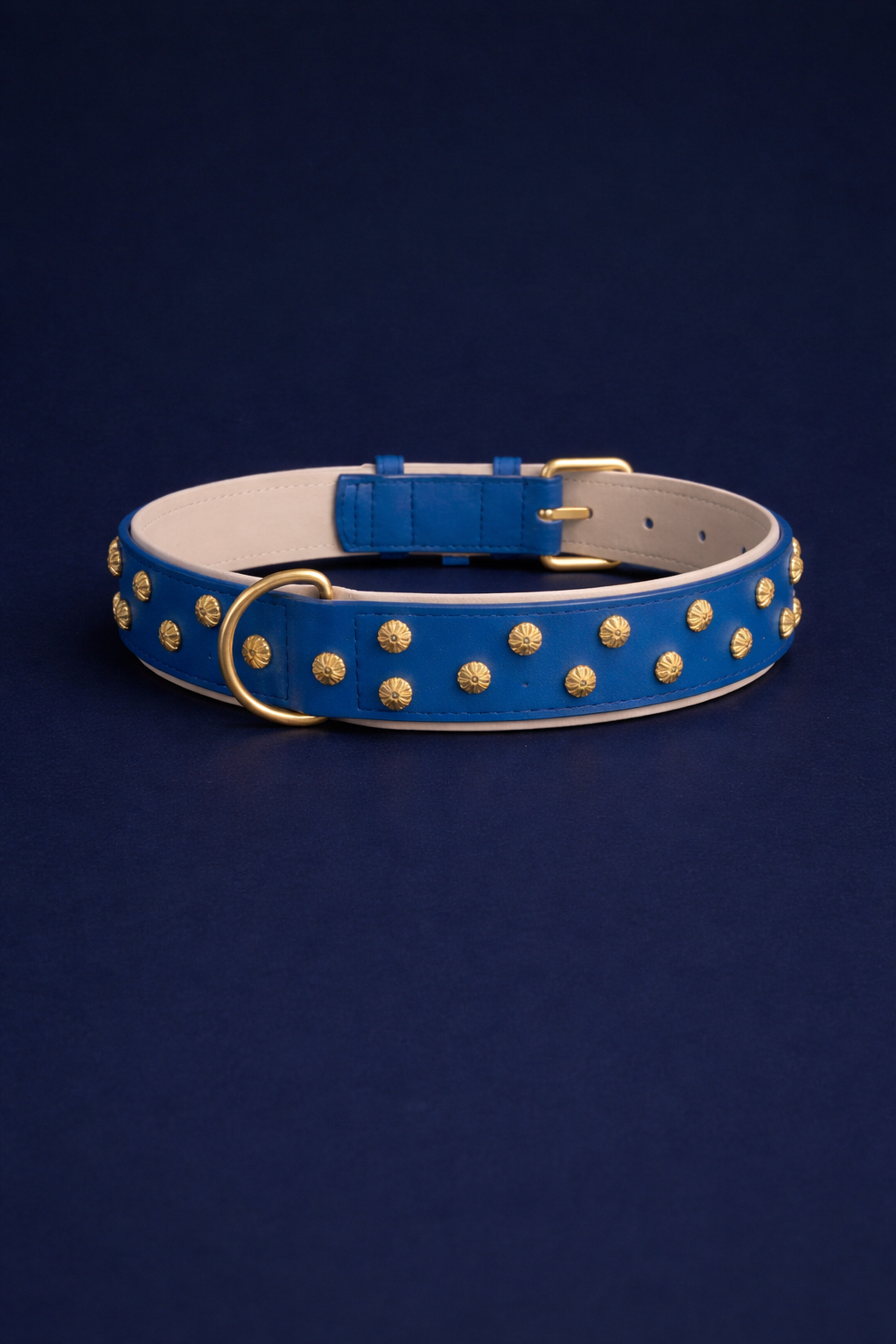 URBAN no.03 - Hundehalsband mit Goldakzenten