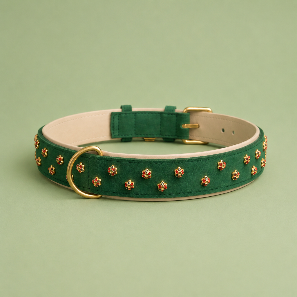 Mops Berlin breites Hundehalsband Zaubergarten aus grünem veganem Leder mit blumenförmigen Beschlägen und mattgoldener Schnalle vor grünem Hintergrund