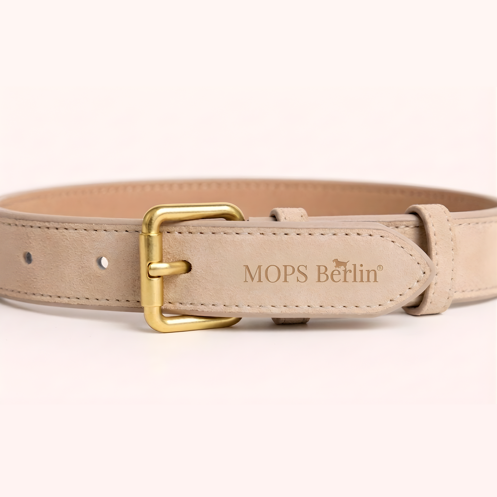 Nahaufnahme vom Schnallenende des Mops Berlin Hundehalsbands Goldküste aus beige-cremefarbenem veganem Leder mit eingeprägtem Logo und mattgoldener Metallschließe