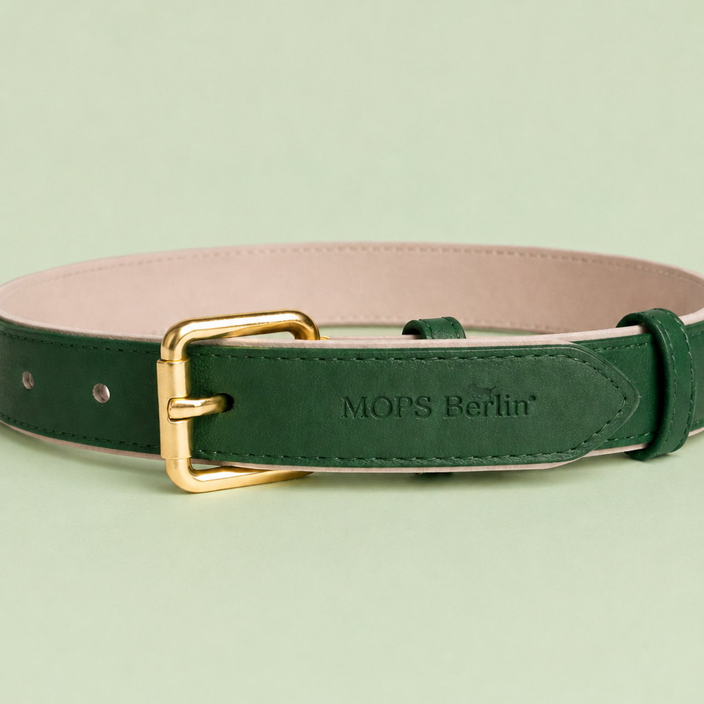 Nahaufnahme vom Schnallenende des Mops Berlin Hundehalsbands Zaubergarten aus grünem veganem Leder mit eingeprägtem Logo und mattgoldener Metallschließe vor grünem Hintergrund