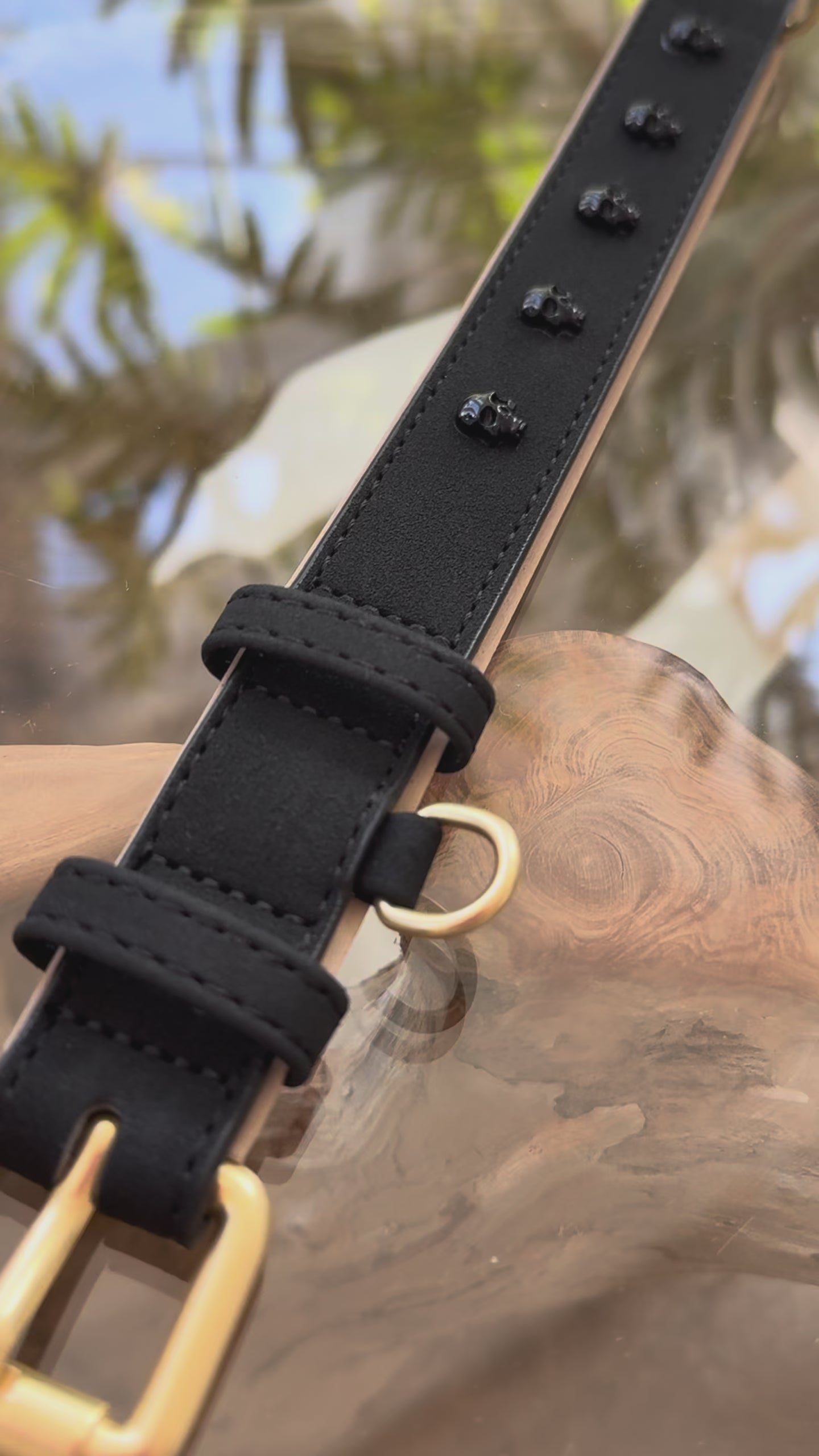 Produktvideo im Nahfokus, das das Mops Berlin Hundehalsband Rabenschwarz aus schwarzem veganem Leder mit seinen detailreichen schwarzen Totenkopf-Beschlägen und der mattgoldenen Schnalle in einer langsamen Drehung zeigt