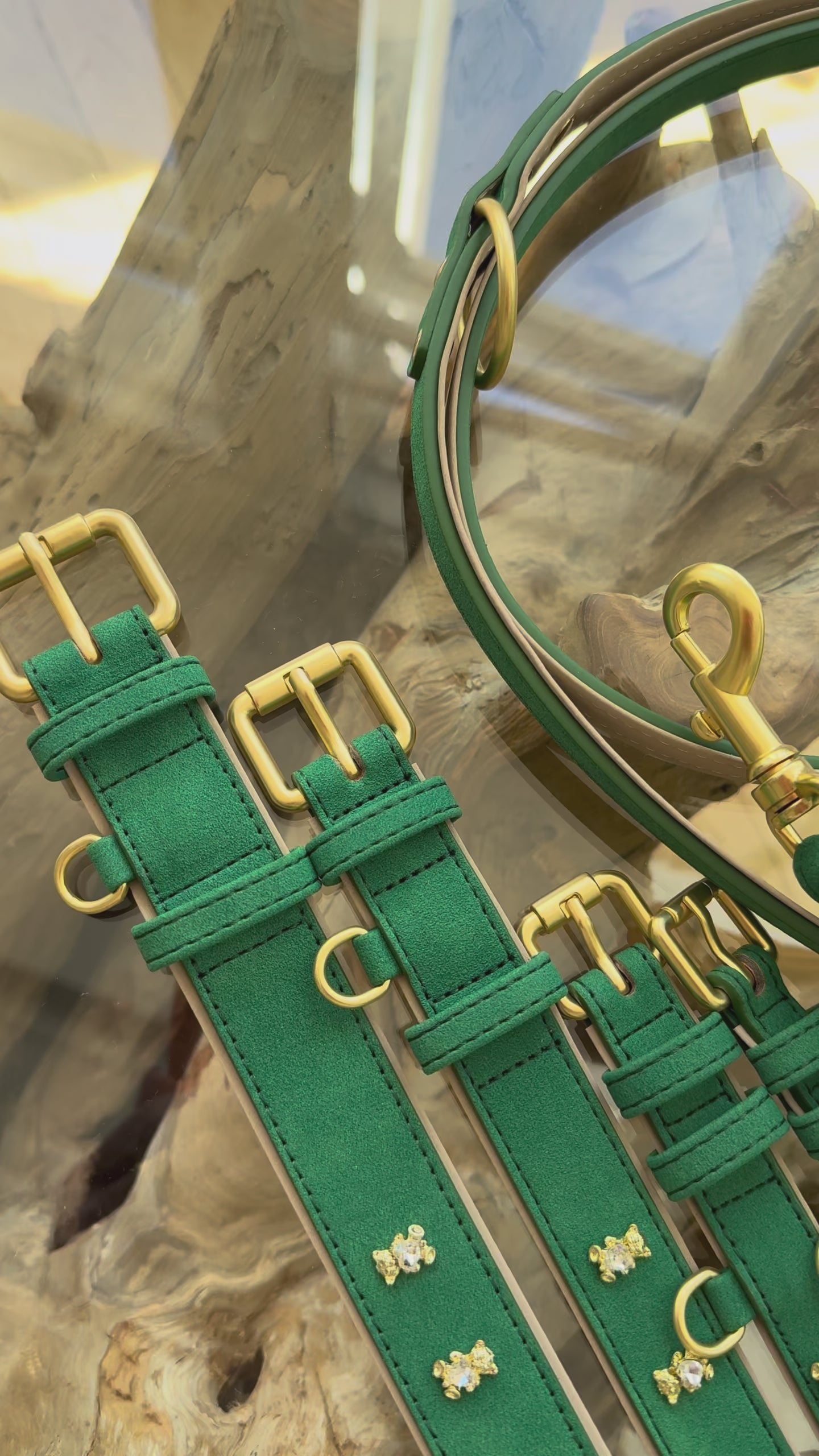 Set SIGNATURE no.05 (Halsband & Leine)